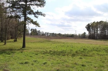 14866 Nc 96 Hw, Zebulon, NC 27597