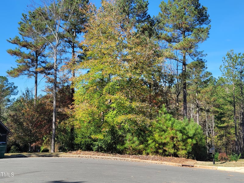 149 Brandy Mill Lot 295I, Pittsboro, NC 27312