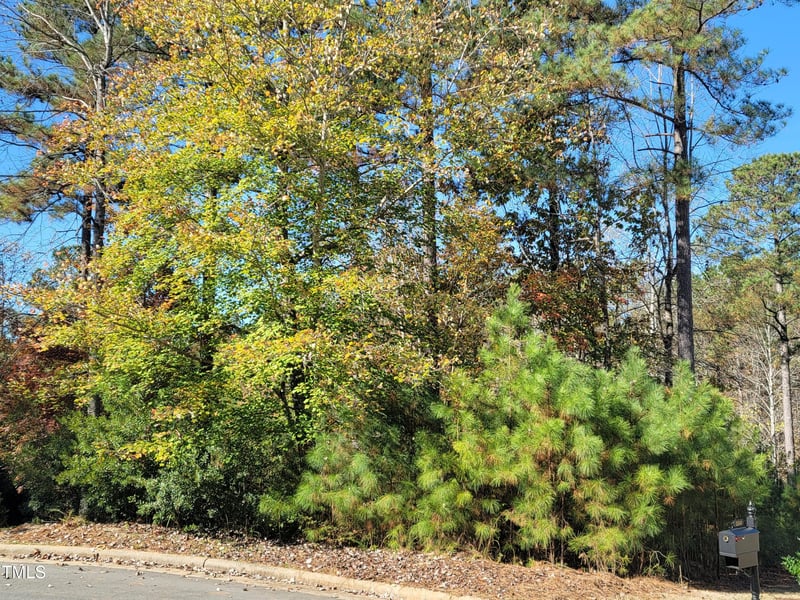 149 Brandy Mill Lot 295I, Pittsboro, NC 27312