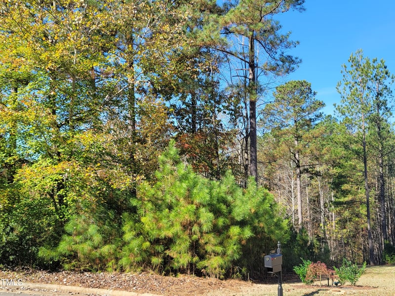 149 Brandy Mill Lot 295I, Pittsboro, NC 27312