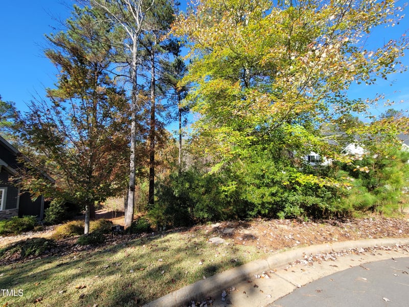149 Brandy Mill Lot 295I, Pittsboro, NC 27312