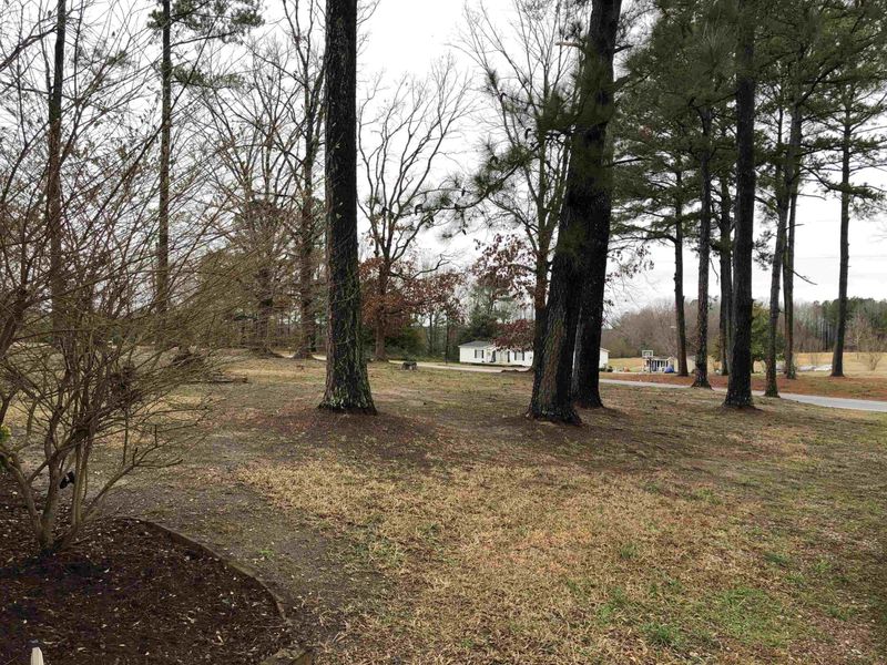 1495 River Rd, Louisburg, NC 27549