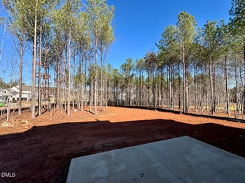 15 Chestnut Oak Dr, Youngsville, NC 27596