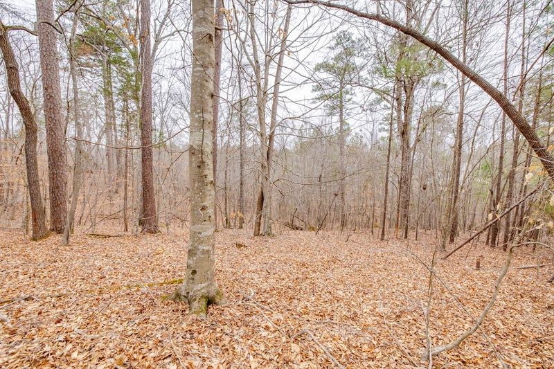 15 Springhouse Pl Lot 218, Durham, NC 27705