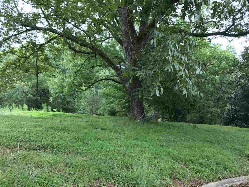 150 A Dunston Ave Lot 9154, Franklinton, NC 27525
