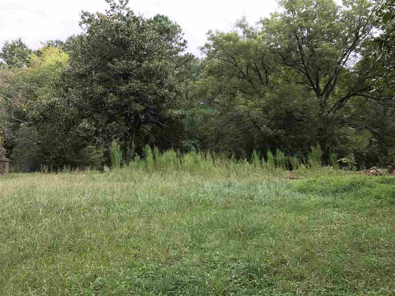 150 A Dunston Ave Lot 9154, Franklinton, NC 27525