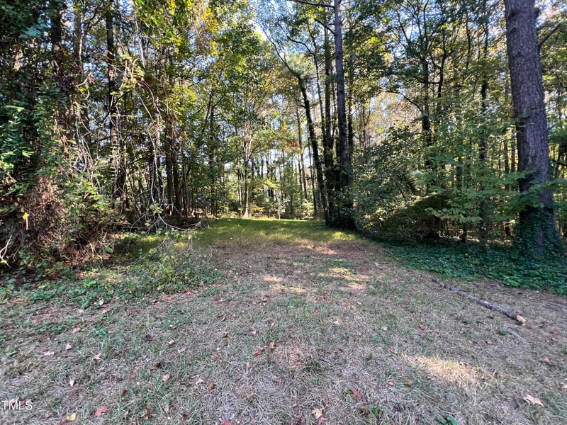 150 Felicia Ct, Clayton, NC 27520