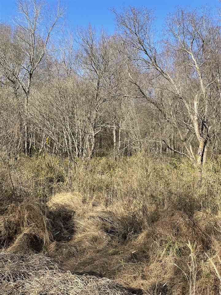 1500 W Oak St Lot 4558, Selma, NC 27576