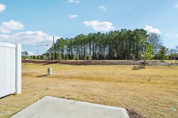 1501 Mirth Ct, Rolesville, NC 27571