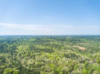 1502 Doc Nichols Rd Lot 1, Durham, NC 27703