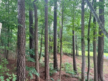 1503 Redwater Branch Ct Lot 226, Apex, NC 27502