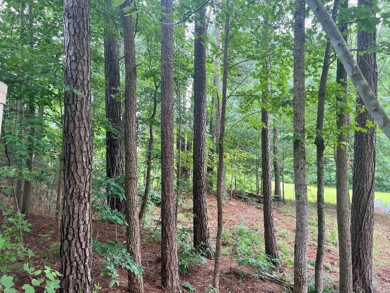 1503 Redwater Branch Ct Lot 226, Apex, NC 27502