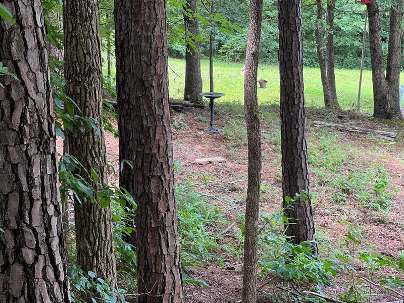1503 Redwater Branch Ct Lot 226, Apex, NC 27502