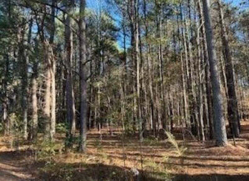 1508 Brassfield Rd Lot 3, Raleigh, NC 27614