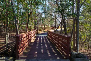 1509 Lone Prairie Dr, Wendell, NC 27591