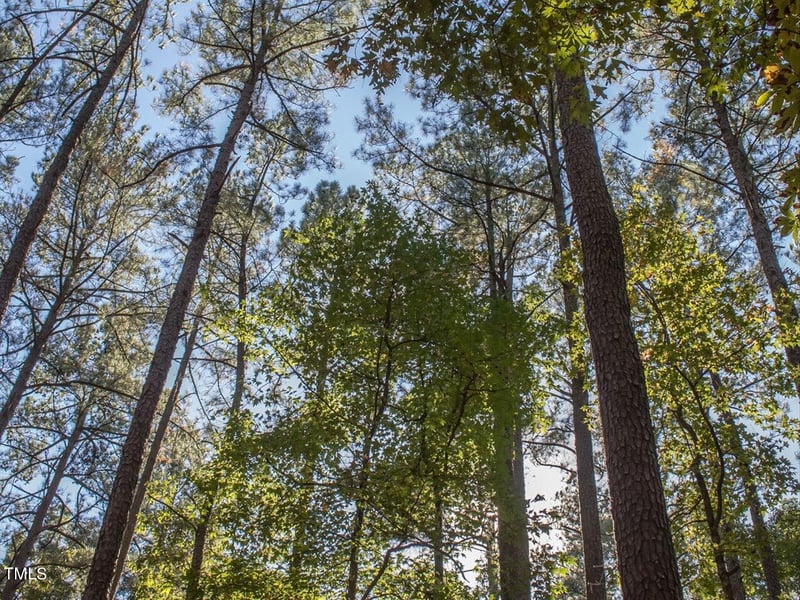 151 Swan Lake Lot 80, Chapel Hill, NC 27517