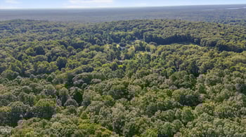 1512 Arboretum Dr, Chapel Hill, NC 27516