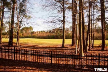 1513 Kudrow Ln, Morrisville, NC 27560