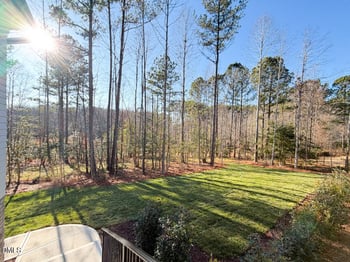 1513 Rock Dove Way, Raleigh, NC 27614