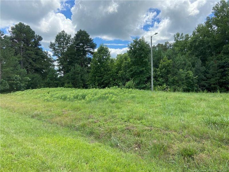 1514 Haw Branch Rd, Sanford, NC 27330
