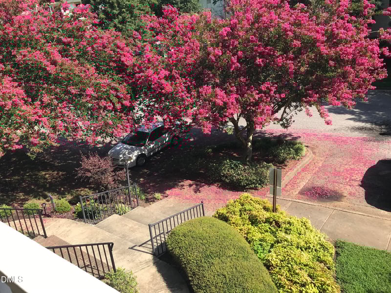 1521 Creekwood Ct #203, Raleigh, NC 27603