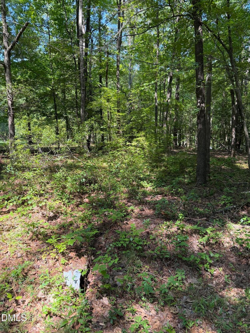 153 Omaha Dr Lot -, Louisburg, NC 27549