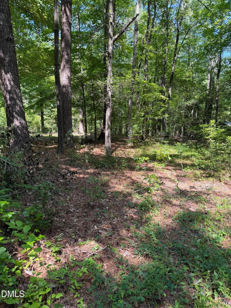 153 Omaha Dr Lot -, Louisburg, NC 27549