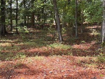 1532 Delaware Pl, Sanford, NC 27332