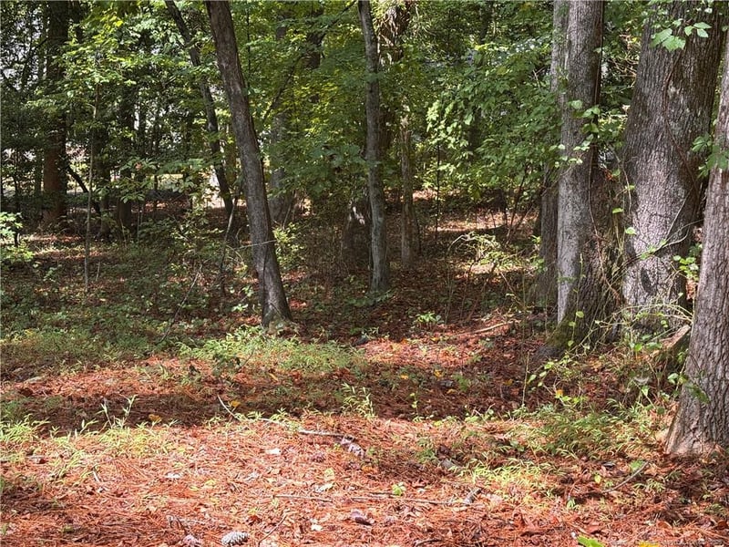 1532 Delaware Pl, Sanford, NC 27332