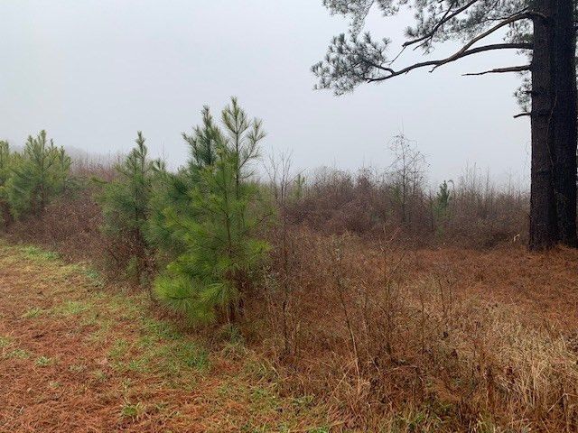 1535 Wesleyan Rd, Roxboro, NC 27574