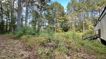 1539 Schloss Rd, Louisburg, NC 27549