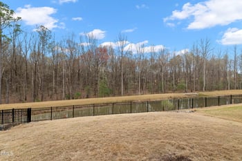 154 Anise Tree Way, Clayton, NC 27527