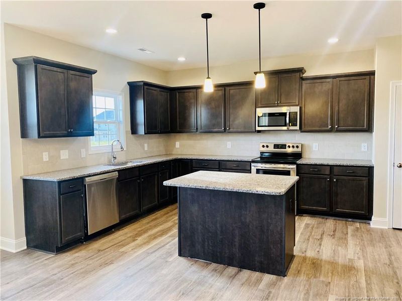 154 Briar Den Ct, Benson, NC 27504