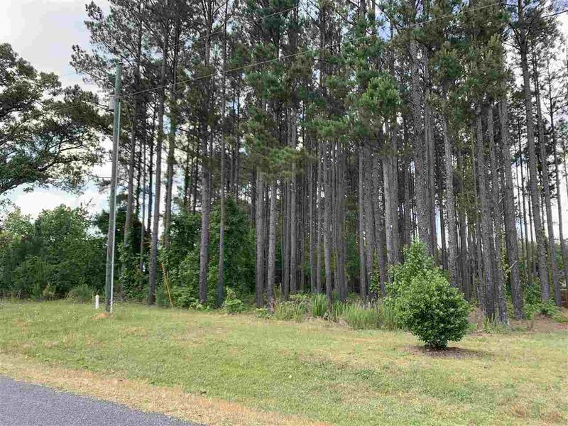 154 Bruce Johnson Rd Lot 18, Lillington, NC 27546