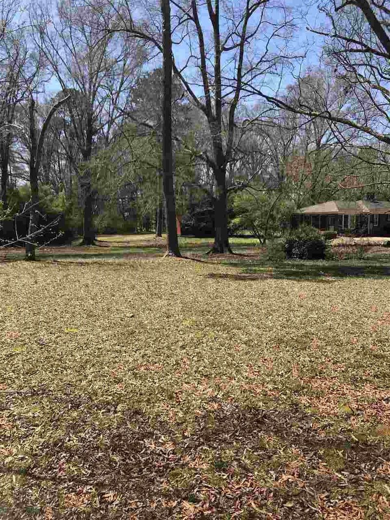 154 E Cedar Ave Lot 3, Wake Forest, NC 27587