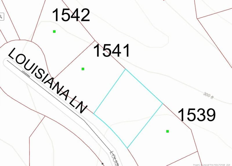 1540 Louisiana Ln, Sanford, NC 27332