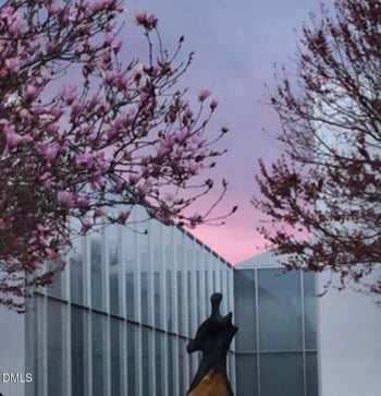 1565 Rodessa Rn, Raleigh, NC 27607