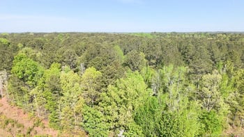 15688 Nc 27 Hw, Sanford, NC 27332