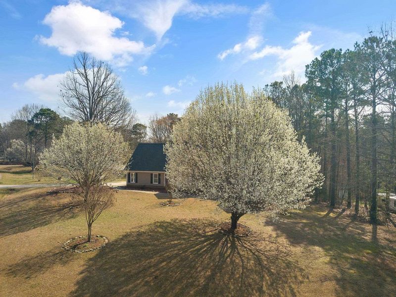157 Palmer Dr, Clayton, NC 27527