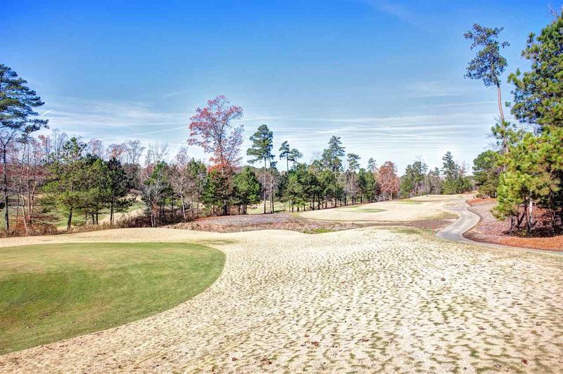 157 Silver Bluff St, Holly Springs, NC 27540
