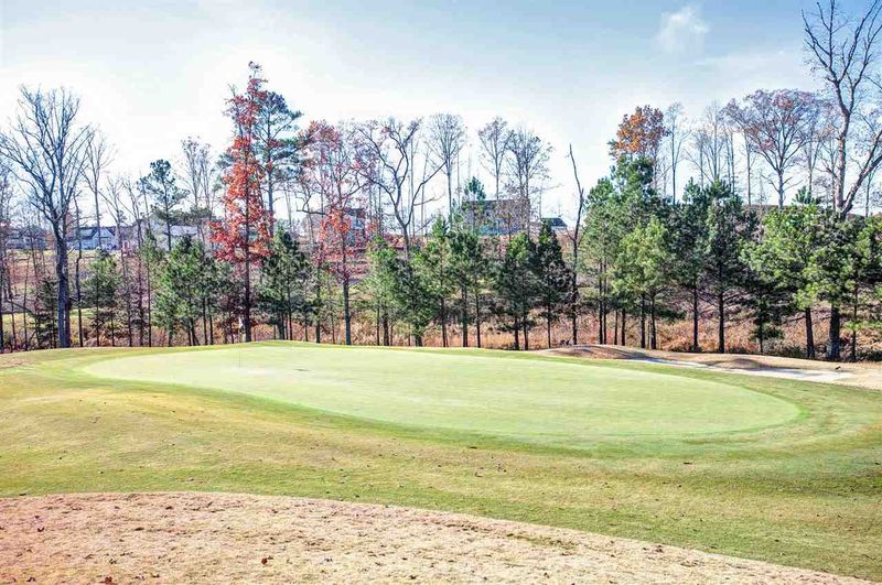 157 Silver Bluff St, Holly Springs, NC 27540