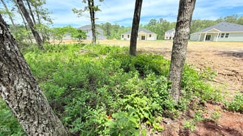 158 Gobbler Dr, Smithfield, NC 27577