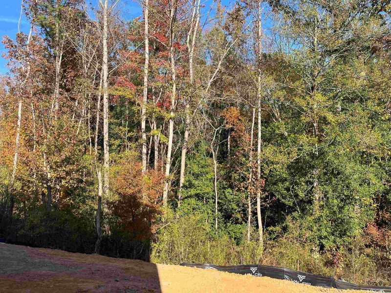 158 Shooting Star Ln, Clayton, NC 27520