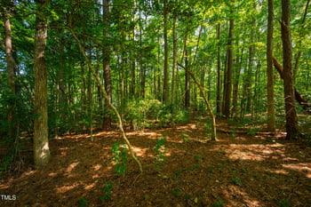 158 Woodberry Forest Lot 14 & PT 13, Pittsboro, NC 27312