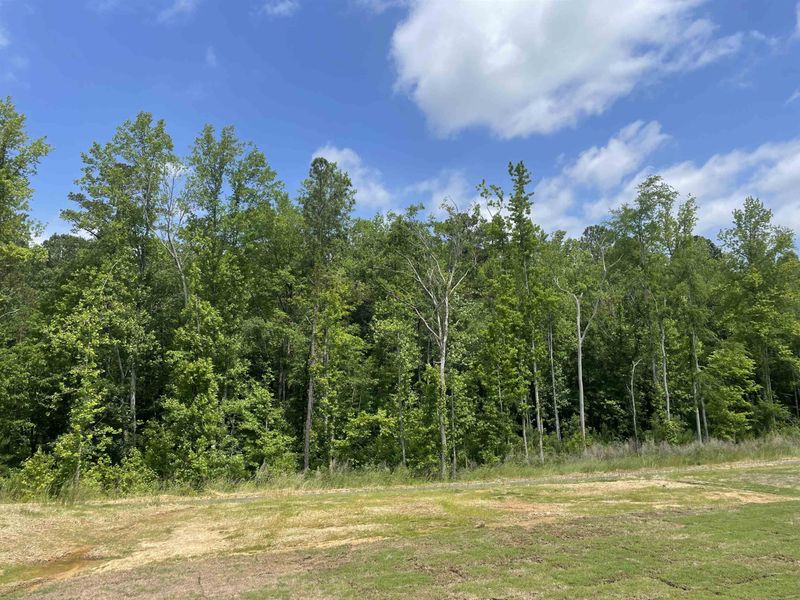 159 David Hill Dr, Sanford, NC 27330