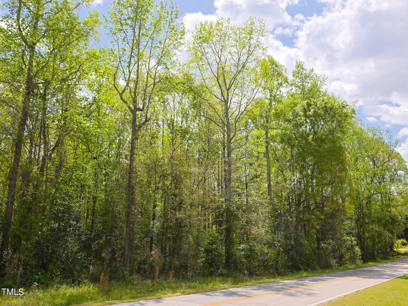 15973 Nc 210 Hwy Lot 25, Angier, NC 27501