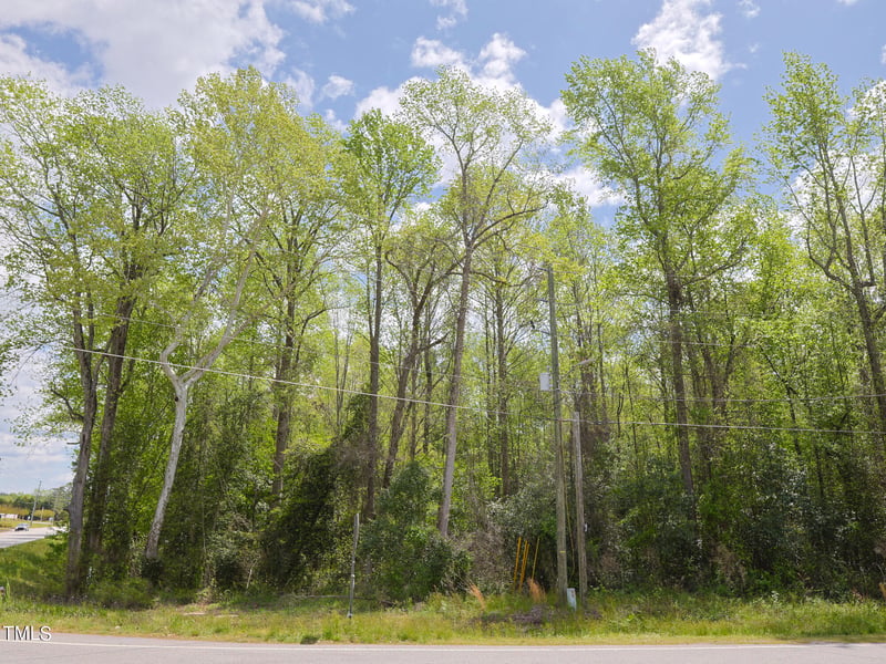 15973 Nc 210 Hwy Lot 25, Angier, NC 27501