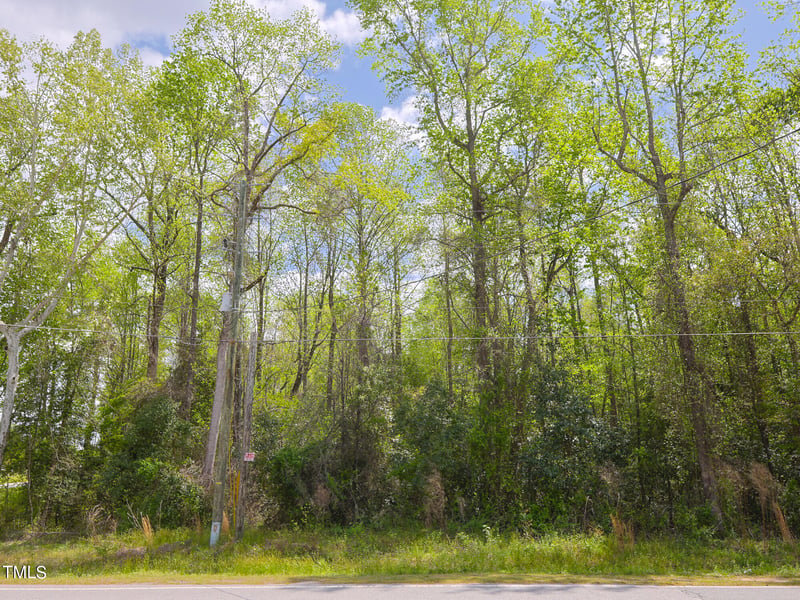 15973 Nc 210 Hwy Lot 25, Angier, NC 27501
