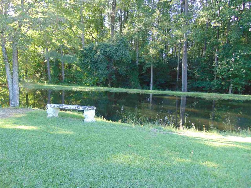 1598 Mount Pleasant Rd, Willow Springs, NC 27592