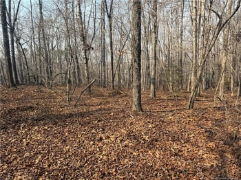 15b Winners Circ Ln, Carthage, NC 28327